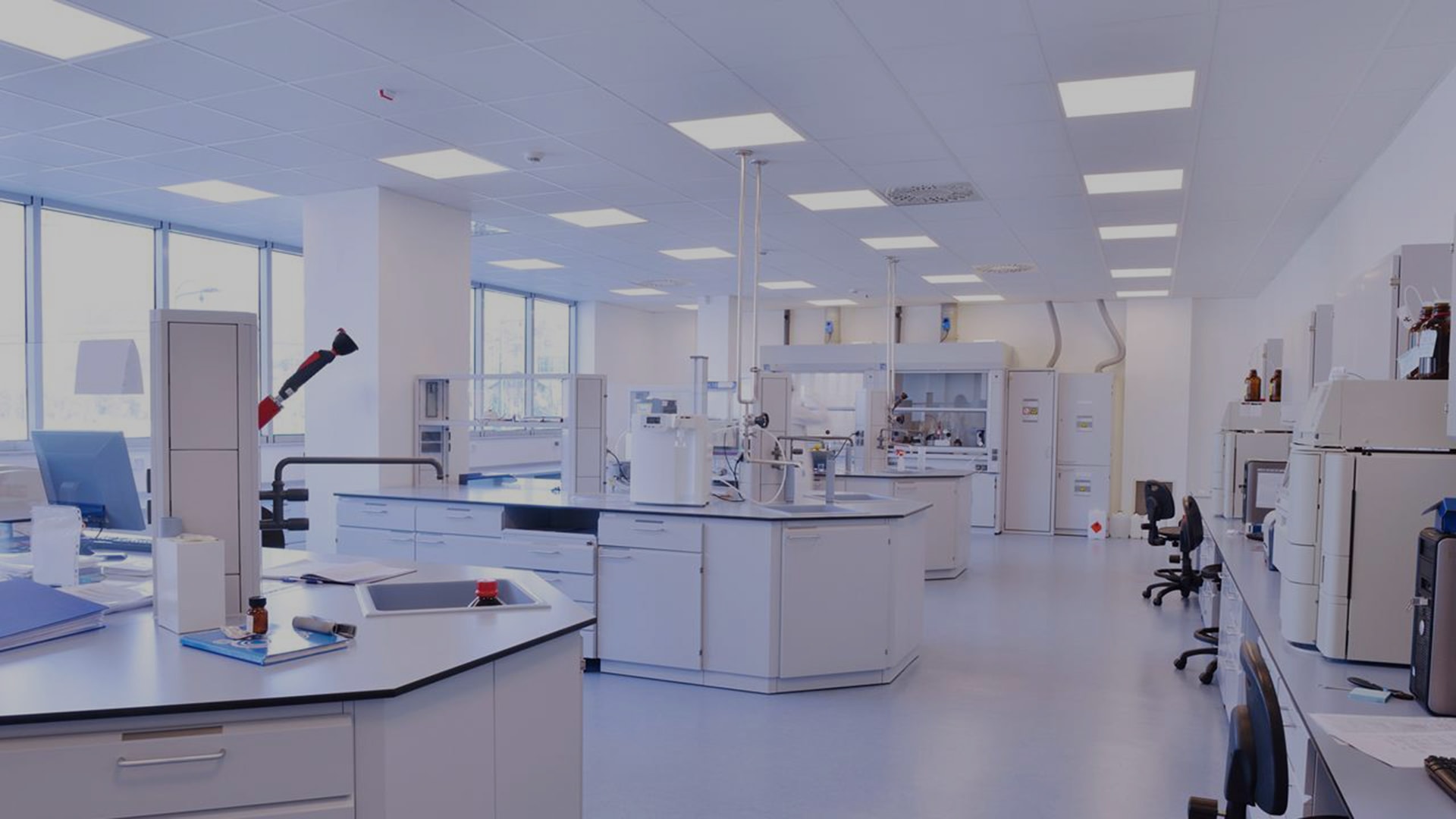 custom peptide manufacturing lab